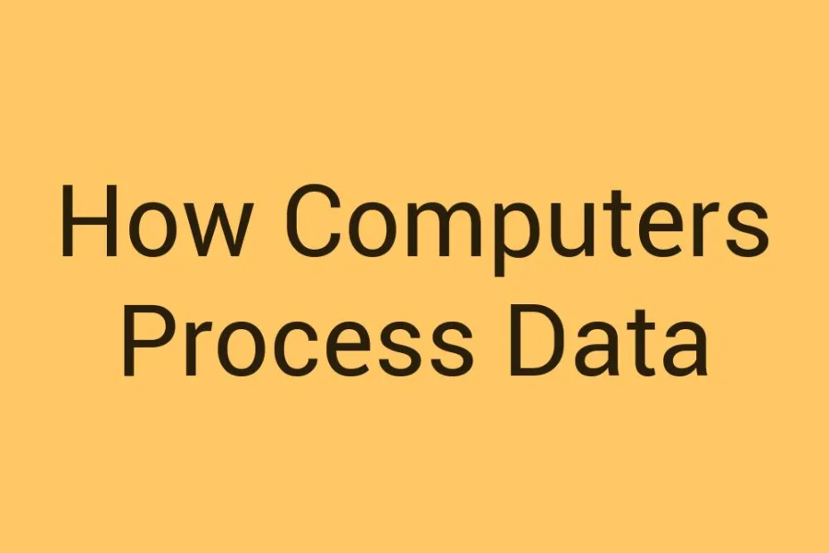 how-computers-process-data