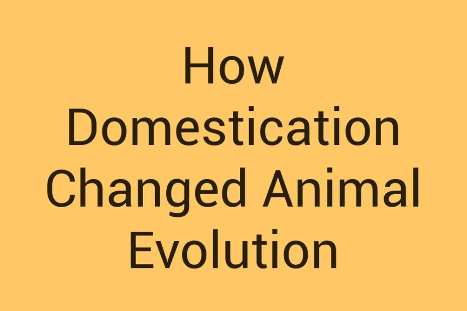 how-domestication-changed-animal-evolution
