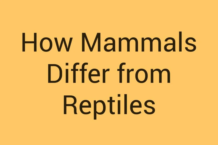 how-mammals-differ-from-reptiles