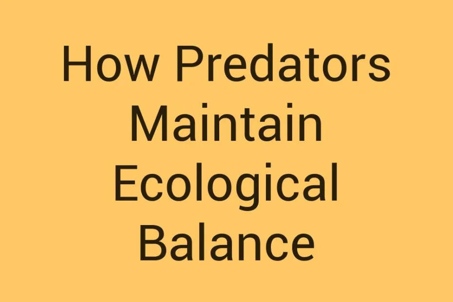 how-predators-maintain-ecological-balance