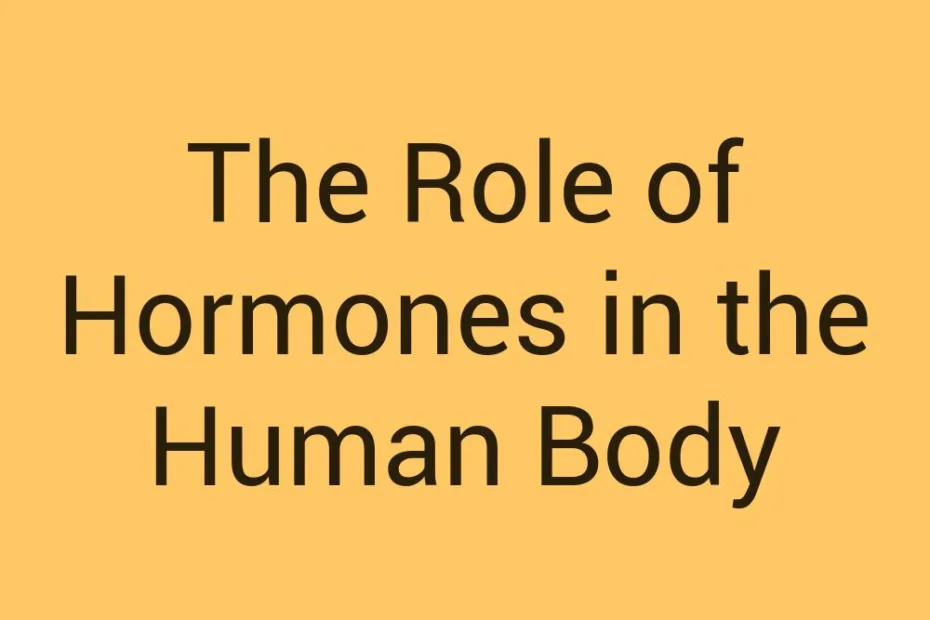 the-role-of-hormones-in-the-human-body